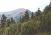nizketatry70